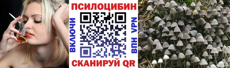 Галлюциногенные грибы Psilocybe Златоуст